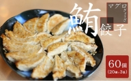 お寿司屋さんの名物 まぐろ餃子 20個×3パック ヘルシー 簡単調理 [№5933-0110]