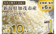 【定期便6ヶ月毎月お届け】7分づき 特別栽培米 コシヒカリ 精米 10kg（5kg×2） 従来品種コシヒカリ 加茂有機米生産組合 新潟県 加茂市産 白米 米 お米 定期便