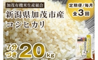 【定期便3ヶ月毎月お届け】7分づき 特別栽培米 コシヒカリ 精米 20kg（5kg×4） 従来品種コシヒカリ 加茂有機米生産組合 新潟県 加茂市産 白米 米 お米 定期便