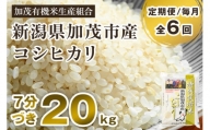 【定期便6ヶ月毎月お届け】7分づき 特別栽培米 コシヒカリ 精米 20kg（5kg×4） 従来品種コシヒカリ 加茂有機米生産組合 新潟県 加茂市産 白米 米 お米 定期便