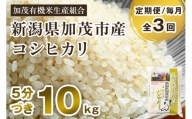 【定期便3ヶ月毎月お届け】5分づき 特別栽培米 コシヒカリ 精米 10kg（5kg×2） 従来品種コシヒカリ 加茂有機米生産組合 新潟県 加茂市産 白米 米 お米 定期便