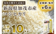 【定期便6ヶ月毎月お届け】5分づき 特別栽培米 コシヒカリ 精米 10kg（5kg×2） 従来品種コシヒカリ 加茂有機米生産組合 新潟県 加茂市産 白米 米 お米 定期便
