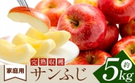 サンふじ りんご 家庭用 約5kg | りんご 林檎 リンゴ さんふじ フルーツ 果物 くだもの 信州 千曲市  長野県