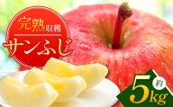 サンふじ りんご 約5kg 中島農園 | りんご 林檎 リンゴ さんふじ フルーツ 果物 くだもの 信州 千曲市  長野県