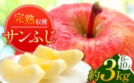 サンふじ りんご 約3kg | りんご 林檎 リンゴ さんふじ フルーツ 果物 くだもの 信州 千曲市  長野県