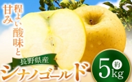シナノゴールド 12～20玉 約5㎏ | りんご リンゴ 林檎 シナノゴールド しなの ごーるど 果物 おやつ スイーツ フルーツ 長野県 信州 千曲市
