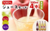 果汁１００％フルーツジュース（４本）　滝口観光果樹園提供
