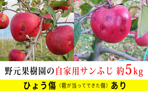 御牧ヶ原産　野元果樹園　自家用サンふじ（ひょう害キズ）約5kg 果物 フルーツ  101213 - 長野県小諸市