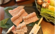 うなちり鍋セット(2～3人前) / 和歌山 田辺 うなぎ 鰻   国産 鍋　なべ