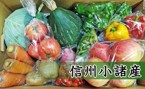 信州小諸 母ちゃんから季節野菜の贈り物 長野 野菜詰合せ