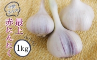 今野さんの最上赤にんにく１kg