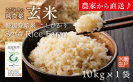 【12-443】新鮮な減農薬『玄米』こしひかり１０キロを農家から直送♪