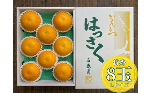 化粧箱 手詰め 有田 はっさく 特秀 L サイズ × 8玉入 南泰園 みかん 1012853 - 和歌山県有田川町