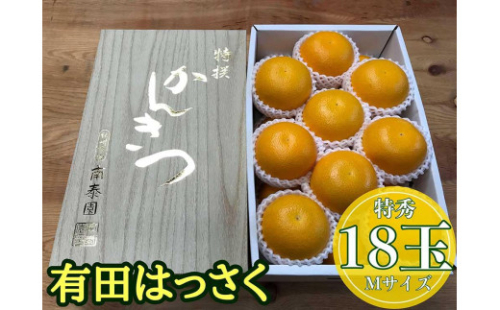 化粧箱 手詰め 有田 はっさく 特秀 M サイズ × 18玉入 2段詰 南泰園 1012856 - 和歌山県有田川町