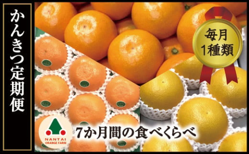 頒布会 有田かんきつ 定期便 7ヶ月間 南泰園 みかん 1012862 - 和歌山県有田川町