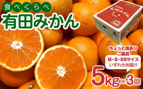 定期便 ちょっと 傷あり 5kg ×3 回 コース 有田みかん 食べくらべ 3種 全3回 南泰園 みかん 1012863 - 和歌山県有田川町
