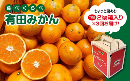 定期便 ちょっと 傷あり 2kg × 3回 コース 有田みかん 食べくらべ 3種 全3回 南泰園 1012864 - 和歌山県有田川町