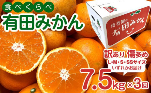 定期便 訳あり 傷多め 7.5kg × 3回 コース 有田みかん 食べくらべ 3種 全3回 南泰園 みかん 1012865 - 和歌山県有田川町
