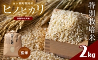 特別栽培米  四億年の大地（ヒノヒカリ玄米） 2kg | 米 こめ お米 おこめ 玄米 四億年の大地 ヒノヒカリ 宮崎県 五ヶ瀬町