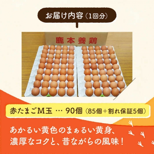 全3回定期便】赤たまご M玉 90個（85個＋5個割れ保証）【農事組合法人