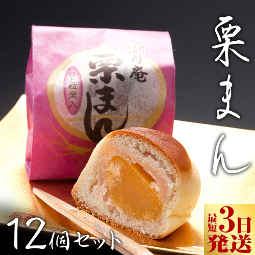 スピード発送!! 栗まんじゅう 12個セット 栗 くり まんじゅう 饅頭 和菓子 おやつ おかし お菓子 スピード発送 スピード配送 [AO020ci] 1013360 - 茨城県筑西市