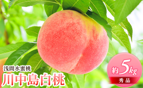 桃 先行予約 浅間水蜜桃 川中島白桃 約5kg 秀品 フルーツ 果物 白桃 甘い 冷蔵 101338 - 長野県小諸市