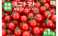 有機栽培ミニトマト　知多アモーレトマト　約1kg ／ とまと 野菜 高糖度 愛知県 特産品