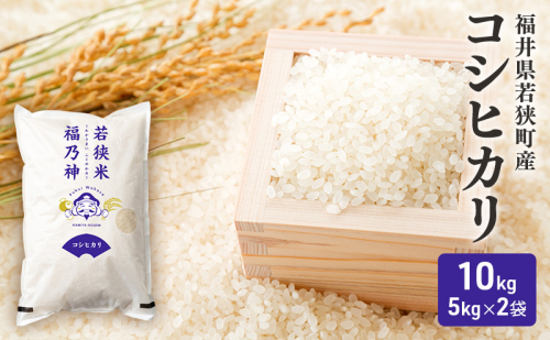 令和7年産 福井県若狭町 コシヒカリ （一等米） 10kg（神谷農園） 5kg×2袋 お米 ブランド米 銘柄米 ご飯 おにぎり お弁当 産地直送 和食 主食  1013532 - 福井県若狭町