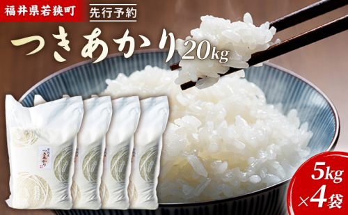 令和6年産福井県若狭町つきあかり（一等米）20kg（神谷農園） 5kg×4袋 1013538 - 福井県若狭町