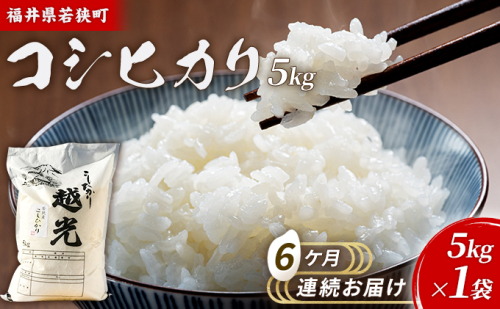 6ケ月連続 福井県若狭町コシヒカリ（一等米）5kg（神谷農園） お米 ブランド米 銘柄米 ご飯 おにぎり お弁当 産地直送 和食 主食  1013550 - 福井県若狭町