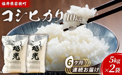 6ケ月連続 福井県若狭町コシヒカリ（一等米）10kg（5kg×2）（神谷農園） お米 ブランド米 銘柄米 ご飯 おにぎり お弁当 産地直送 和食 主食  1013552 - 福井県若狭町