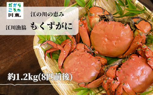 080057【一級河川・江の川の恵み・島根県産】もくずがに1.2Kg 1013697 - 島根県川本町