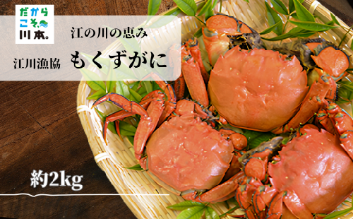 080205【一級河川・江の川の恵み・島根県産】もくずがに 2kg 1013698 - 島根県川本町