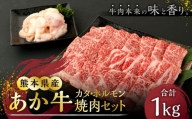 熊本県産 あか牛 赤身 焼肉 セット カタ 700g ホルモン 300g 合計1kg