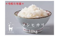 【京都ファーム】令和5年産 京都ファームのコシヒカリ 精米10kg