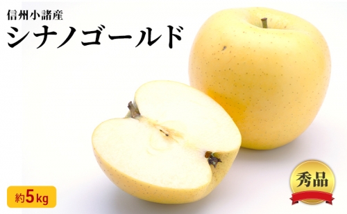 信州小諸産 シナノゴールド 秀品 約5kg 長野県産 果物類 林檎 りんご リンゴ 101401 - 長野県小諸市