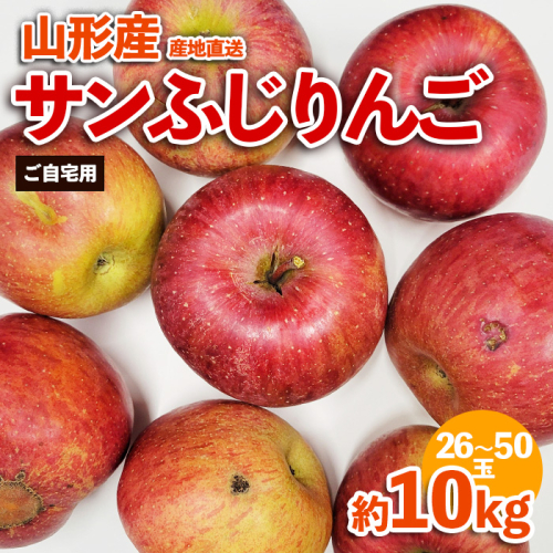 【ご自宅用】山形産サンふじりんご 約10kg(26～50玉) FZ23-591 1014116 - 山形県山形市