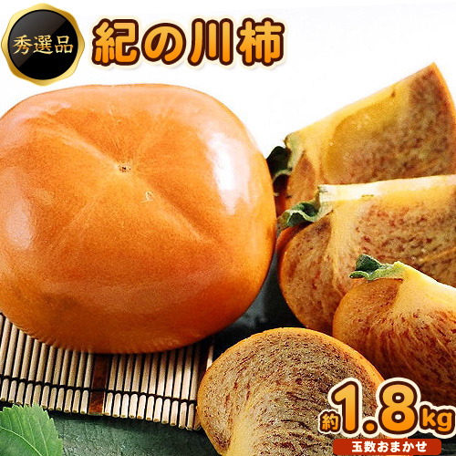 【先行予約】希少 紀の川柿 約1.8～約2kg（種無し）秀選品 (玉数おまかせ) 厳選館 《10月中旬-11月中旬頃出荷》 和歌山県 日高町 柿 カキ かき ジューシー フルーツ 1014122 - 和歌山県日高町