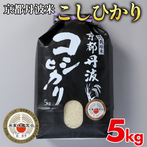 京都丹波米こしひかり 5kg 令和6年産 白米 米 ・食味鑑定士厳選 京都丹波産 ふるさと納税米 ※精米したてをお届け ※北海道・沖縄・離島への配送不可 1014283 - 京都府亀岡市