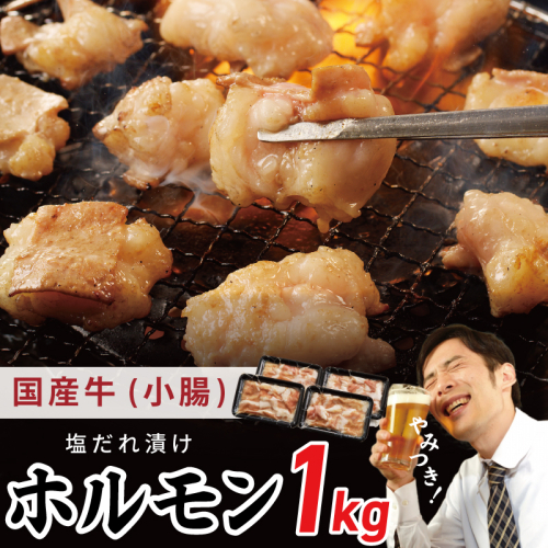 国産 牛肉 ホルモン 1kg 塩だれ漬け 焼肉用 小分け 250g×4P【牛肉 焼肉用 焼くだけ 小分け BBQ やきにく 数量限定】 G1762 1014287 - 大阪府泉佐野市