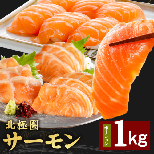 北極圏サーモン ポーション 1kg【高級 小分け 海鮮丼 人気 オススメ 小分け 冷凍 簡単調理 一人暮らし】 015B288 1014515 - 大阪府泉佐野市