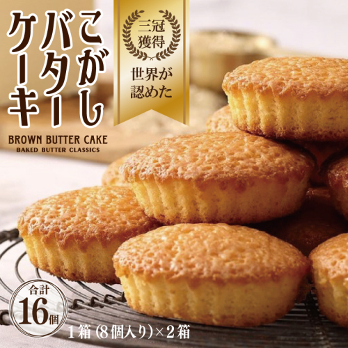 【明治25年創業】こがしバターケーキ 8個×2箱【スイーツ 洋菓子 工場直販 個包装 小分け 専用箱 泉州名産】 010B1764 1014591 - 大阪府泉佐野市