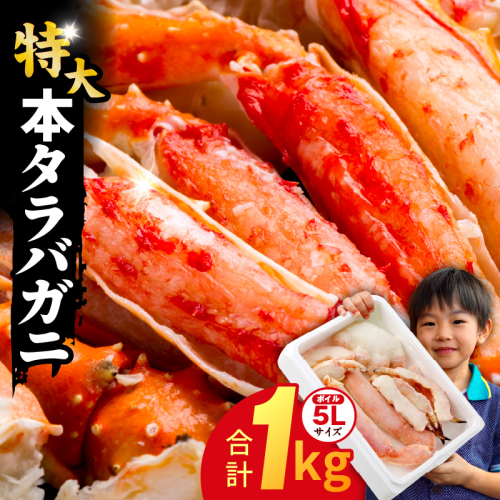 ボイルタラバガニ 1kg 特大 5Lサイズ カット済み【ボイル カニ かに 1kg 訳あり 部位 サイズ不揃い 蟹 たらば蟹 タラバ蟹 タラバカニ 海鮮 魚介】 G1783-1 1014659 - 大阪府泉佐野市