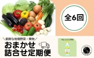 F60-2 【6回定期便】新鮮な地場 野菜・果物 おまかせ詰合せ（ドレッシング付）6回 定期便 JA伊万里