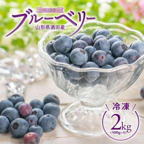 SA2336　冷凍ブルーベリー　約2kg(500g×4パック) 1015070 - 山形県酒田市