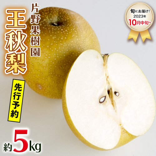 梨 王秋 農家直送 10㎏