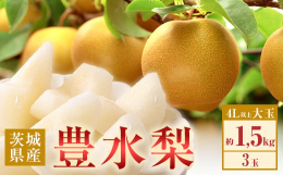 大玉の豊水梨を3玉、化粧箱に入れてお届けいたします。贈答用としても人気があります。豊水梨は一般的には甘さ、水分、酸味のバランスの良い梨と言われますが、当園の梨は、酸味がほとんどなく、とても甘いため人気