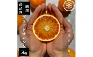 ＜真っ赤な高級柑橘＞新口農園厳選 ブラッドオレンジ 5kg＜C70-18＞【1470701】