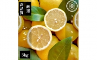 新口農園厳選 レモン 3kg＜C70-20＞【1470687】