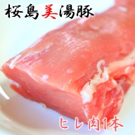 A1-30106／桜島美湯豚　ヒレ肉×1本